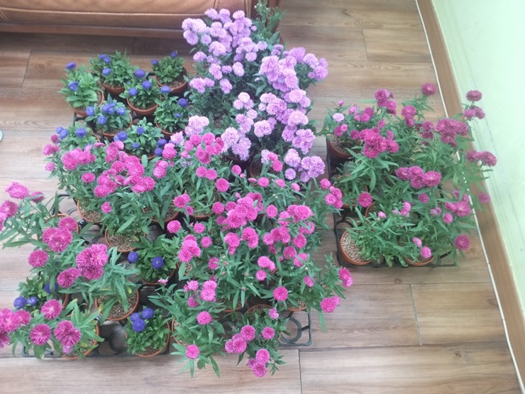 faa92ba230c7ae2be5fcfaa01268517e_1634106208_626.jpg faa92ba230c7ae2be5fcfaa01268517e_1634106208_626.jpg