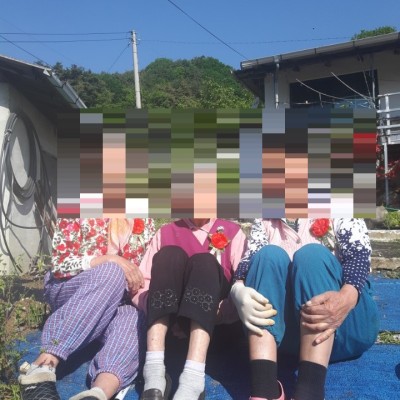 제46회 어버이날 기념 카네이션 전달 이미지